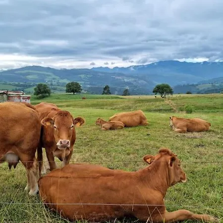 公寓 El Tejo, Luminoso Y Acogedor