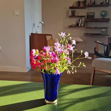 El Tejo, Luminoso Y Acogedor * 科隆布雷斯